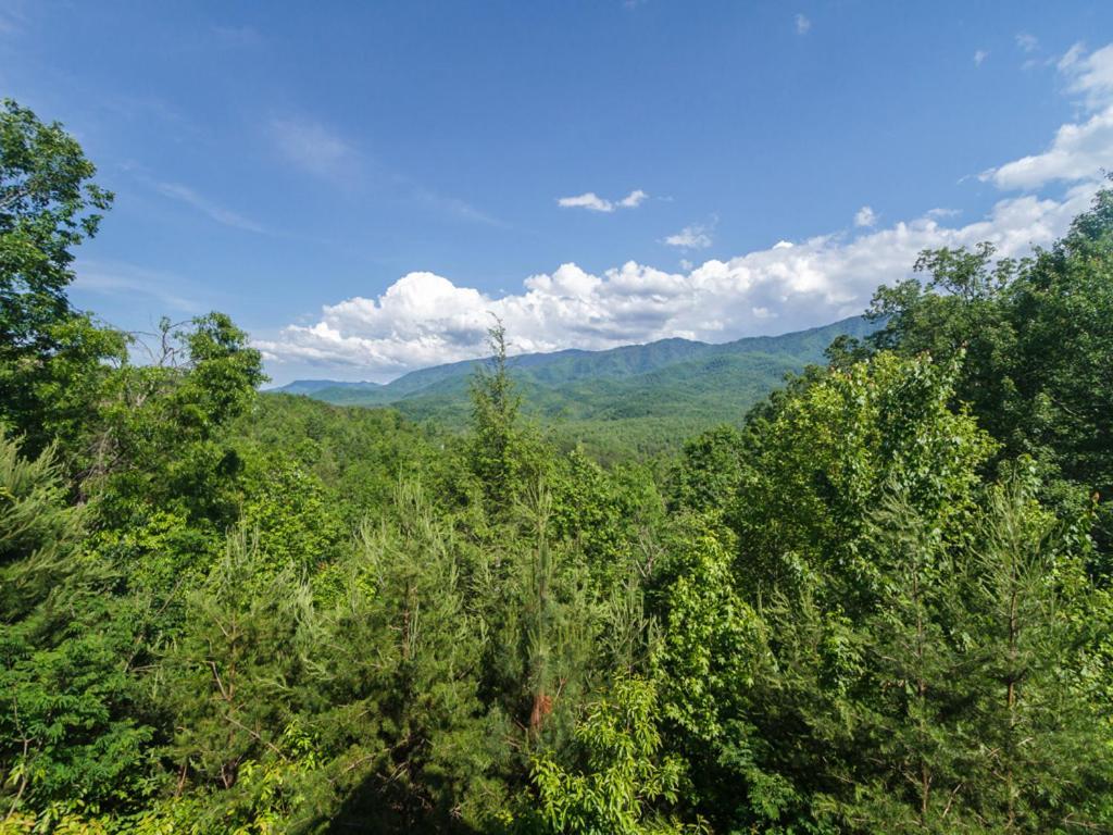Villa Dreamscapes Gatlinburg Exterior foto